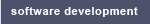 Software development