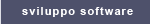 Sviluppo software